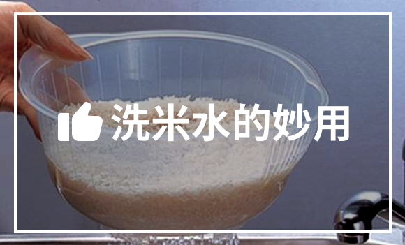 洗米水的妙用