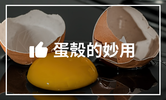 蛋殼的妙用 蛋殼的妙用